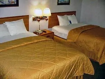 Quality & I-24 Hotel Metropolis