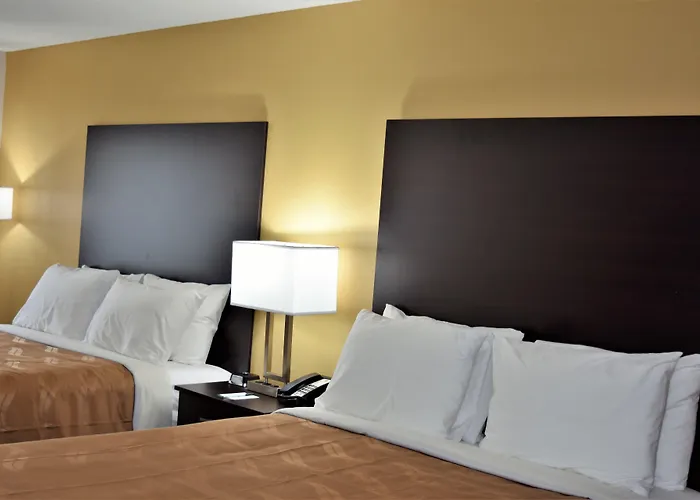 Quality & I-24 Hotel Metropolis